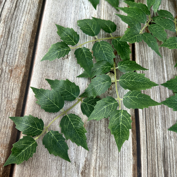 Umjetna penjačka biljka s listovima breskve, eukaliptusa i jujube; 7-listna penjačka biljka, Pan Weaving materijal, za rekvizite za fotografije i kućnu dekoraciju