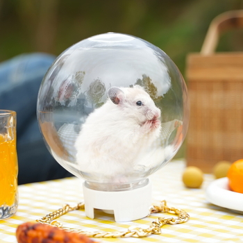 Hartley πλαστικό κλουβί χάμστερ εξωτερικού, φορητό διαφανές και αναπνεόμενο μεταφορικό (παραγόμενο στο Zhejiang)
