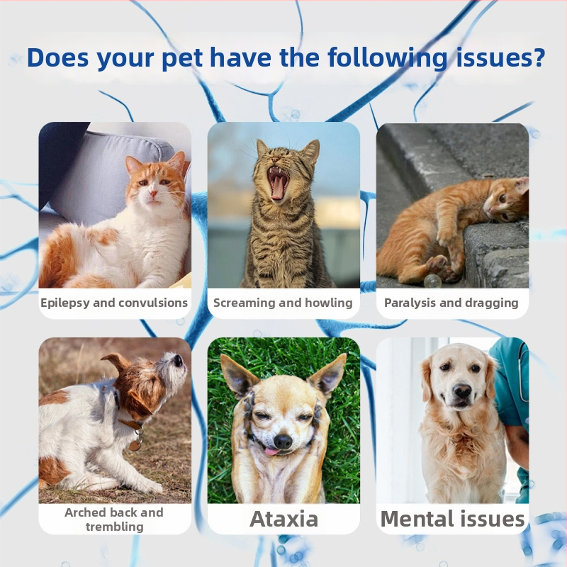 Xin Daming Dzīvnieku veselībai – Neirotrofiskas tabletes nervu atbalstam un ķermeņa stiprināšanai kaķiem un suņiem, 50 g