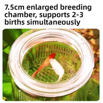 Guppy inkubatoriaus dėžė – akrilas, inkubavimas mažoms žuvelėms, akvariumo įranga, Yee prekės ženklas