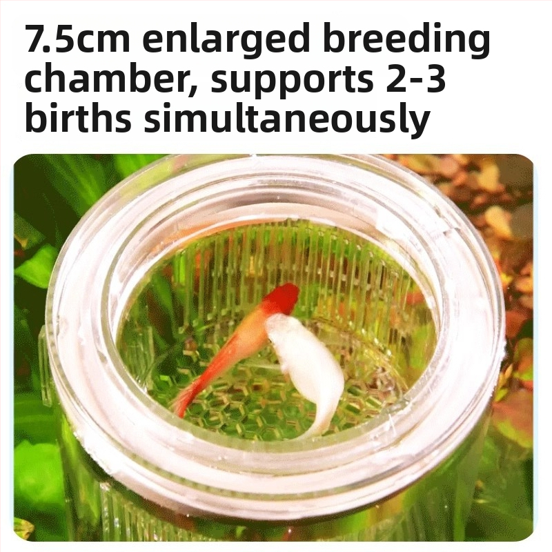 Guppy inkubatoriaus dėžė – akrilas, inkubavimas mažoms žuvelėms, akvariumo įranga, Yee prekės ženklas