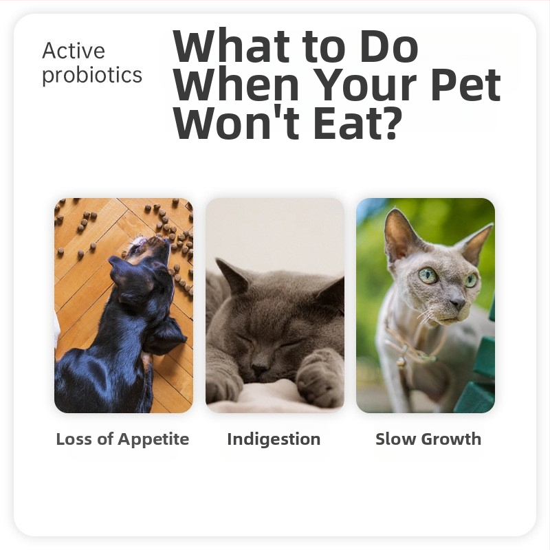 VEGAMAX Suņu probiotiku piedeva – svara pieauguma atbalsts, GI veselība un izvēlīgi ēdēji