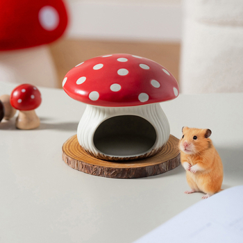 Κεραμικό καταφύγιο για χάμστερ και λεκάνη μπάνιου με άμμο (Υλικό: κεραμικό; Κατηγορία: αξεσουάρ φροντίδας κατοικίδιων; Εισαγωγή: Όχι; Μάρκα: Άλλο)