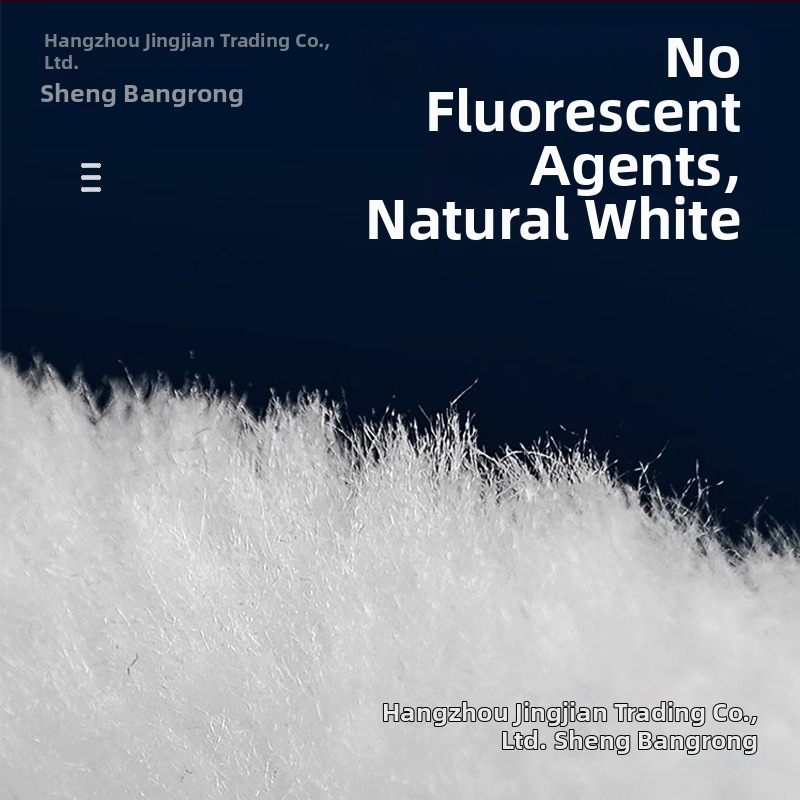 Akvariumo filtravimo maišelis – Medžiaga: derva, Filtru medvilnė su ląstelių struktūra, Prekės ženklas: Sheng bangrong