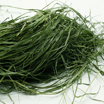 Sausa Timothy žolė mažiems naminiams gyvūnėliams – daugialapė Timothy žolė, 500 g, Ziplock paketėlis