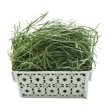 Sausa Timothy žolė mažiems naminiams gyvūnėliams – daugialapė Timothy žolė, 500 g, Ziplock paketėlis