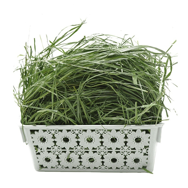 Sausa Timothy žolė mažiems naminiams gyvūnėliams – daugialapė Timothy žolė, 500 g, Ziplock paketėlis