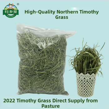 Džiovinta Timotijo žolė – suaugusiems triušiams