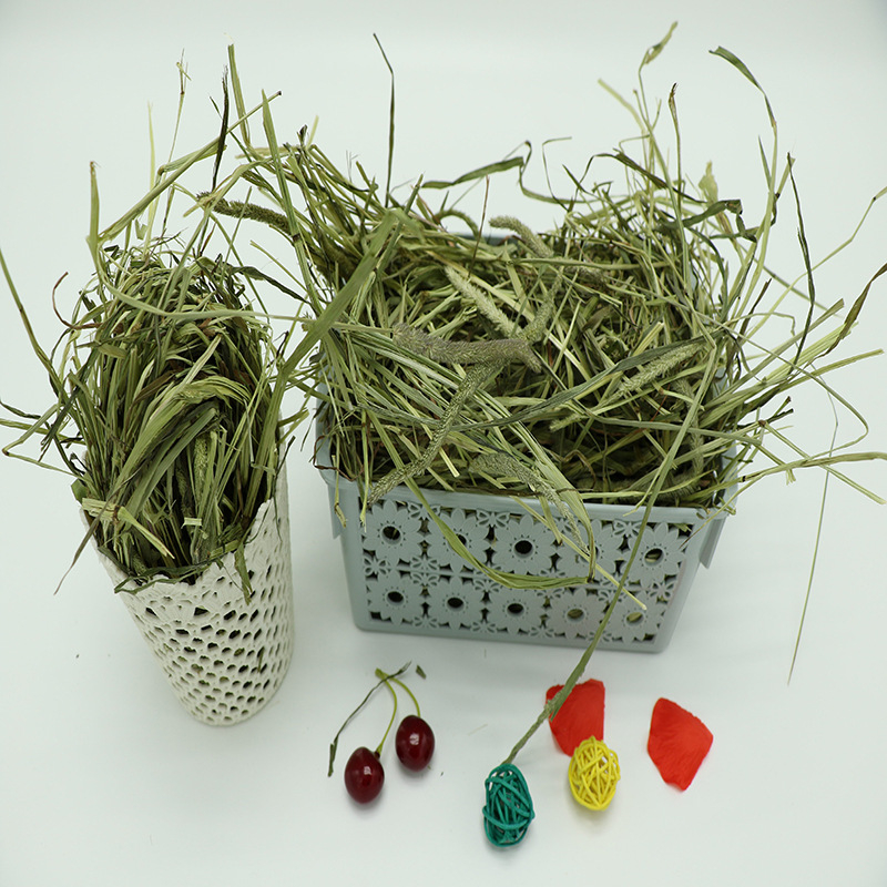 Džiovinta Timotijo žolė – suaugusiems triušiams