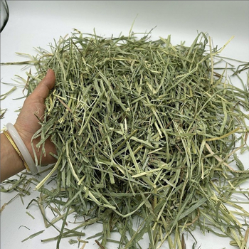 Džiovinta Timothy žolė – džiovinta sausa ėdalas triušiams ir kiaulytėms – 500 g jauniesiems gyvūnėliams