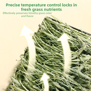 Džiovinta Timothy žolė – džiovinta sausa ėdalas triušiams ir kiaulytėms – 500 g jauniesiems gyvūnėliams