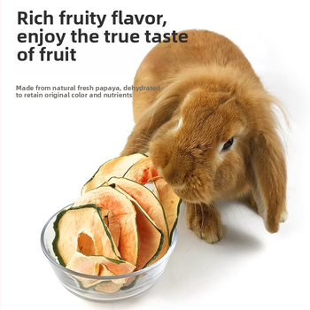 Kuivtoit lemmikloomadele — papaia viilud närimiseks tasuks, interaktiivne mänguasi väikeste lemmikloomade jaoks; Radish valley