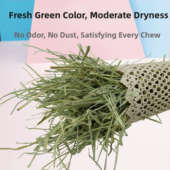 Oras džiovinta Timothy žolė triušiams, činčilėms ir jūrų kiaulėms – suaugusiųjų sausas maistas