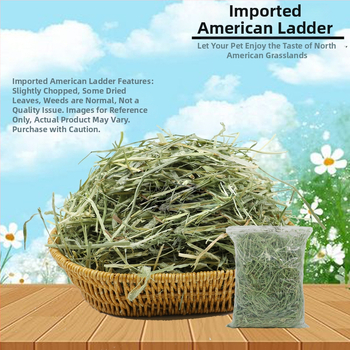 Oras džiovinta Timothy žolė triušiams, činčilėms ir jūrų kiaulėms – suaugusiųjų sausas maistas