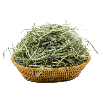 Oras džiovinta Timothy žolė triušiams, činčilėms ir jūrų kiaulėms – suaugusiųjų sausas maistas