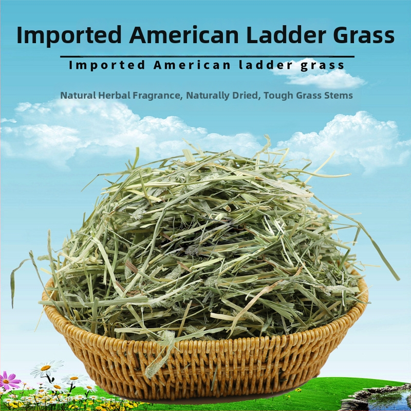 Oras džiovinta Timothy žolė triušiams, činčilėms ir jūrų kiaulėms – suaugusiųjų sausas maistas