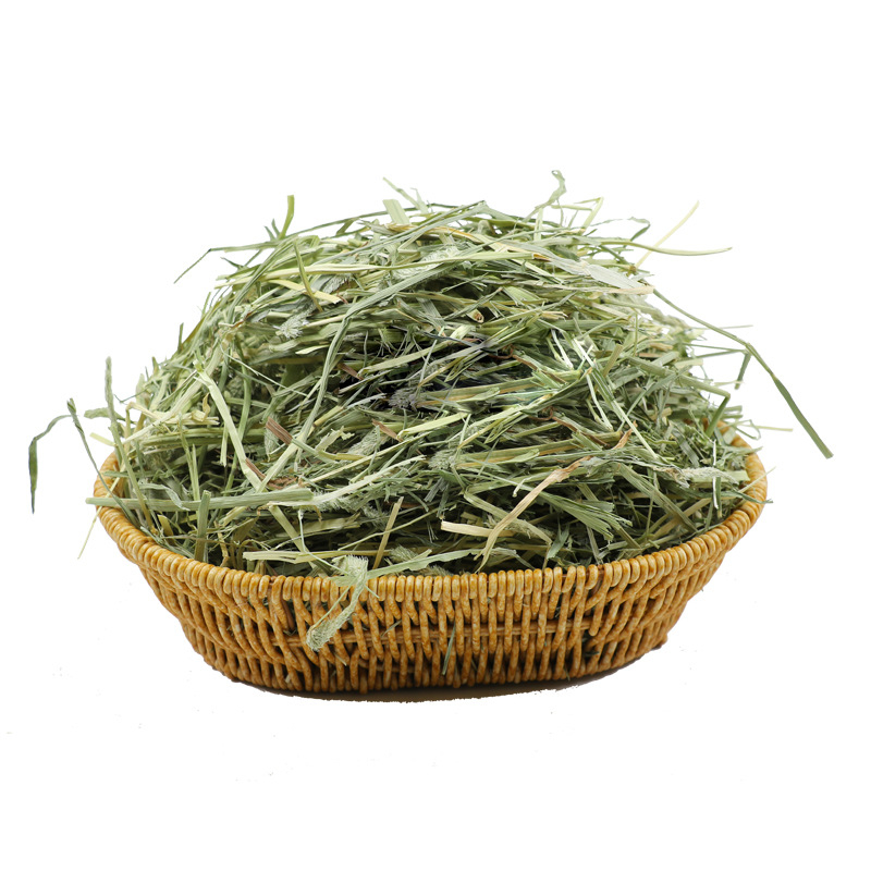 Oras džiovinta Timothy žolė triušiams, činčilėms ir jūrų kiaulėms – suaugusiųjų sausas maistas