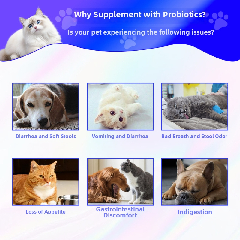 Dzīvnieku veselībai probiotikas kaķiem un suņiem, vispārējai lietošanai, 50 g katrā kastē, 100 kastēs kartonā, Xin daming zīmols