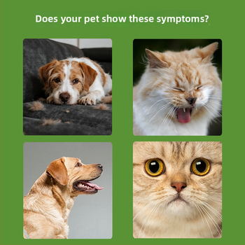 Sirop pentru tuse pentru pisici și câini cu lemn dulce (Brand: Pushino; Greutate: 30 ml; Cutie: 100 bucăți; Utilizare: Universal)