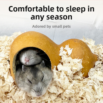 Kõrvitsakujuline hamstrimaja kõikide aastaaegade jaoks