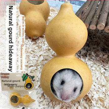 Kõrvitsakujuline hamstrimaja kõikide aastaaegade jaoks