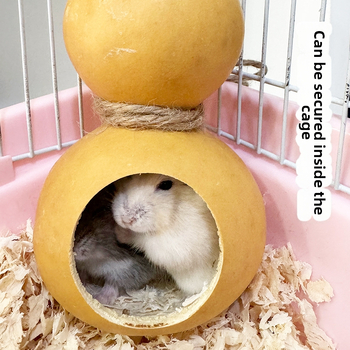 Kõrvitsakujuline hamstrimaja kõikide aastaaegade jaoks