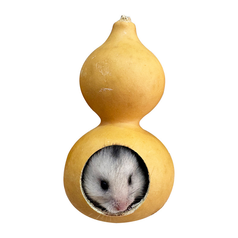 Kõrvitsakujuline hamstrimaja kõikide aastaaegade jaoks