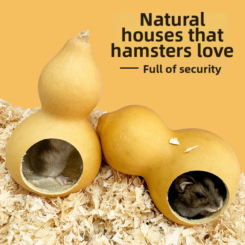 Kõrvitsakujuline hamstrimaja kõikide aastaaegade jaoks