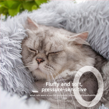 Kassi pesa – plüüs, Leyoupai, kassidele, päritolu Zhejiang