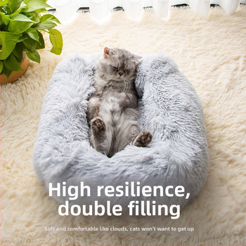 Kassi pesa – plüüs, Leyoupai, kassidele, päritolu Zhejiang