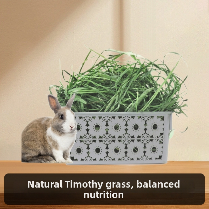 Homecoming Timothy Grass sausa gyvūnų maistas, 500 g, 2 pakuotės