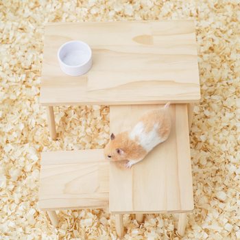 Χάμστερ ξύλινη πλατφόρμα με σκάλα — σετ παιχνιδιών ανάβασης για κλουβί (Υλικό: ξύλο; Για χάμστερ; Περιλαμβάνει σκάλα και πλατφόρμα)