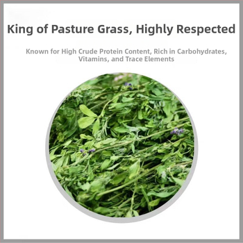 Märg toit lucerna baasil täiskasvanud küülikutele, tšintsillidele ja guinea fokidele — Bränd: Appointment with rats