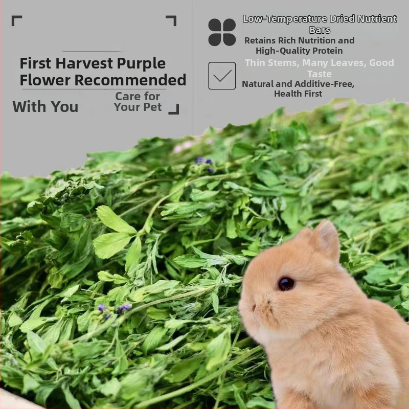 Märg toit lucerna baasil täiskasvanud küülikutele, tšintsillidele ja guinea fokidele — Bränd: Appointment with rats