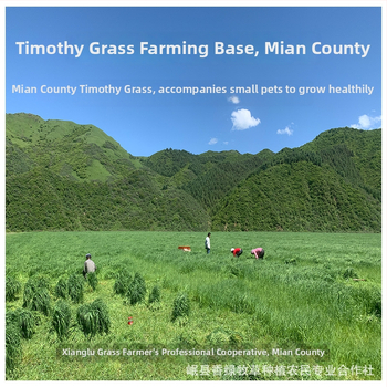 Beiti sausa ėdalas jaunoms naminiams gyvūnams, 1 pakuotė, naminiams gyvūnams