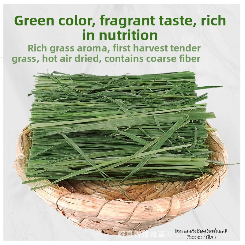 Beiti sausa ėdalas jaunoms naminiams gyvūnams, 1 pakuotė, naminiams gyvūnams