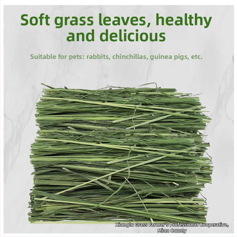 Beiti sausa ėdalas jaunoms naminiams gyvūnams, 1 pakuotė, naminiams gyvūnams