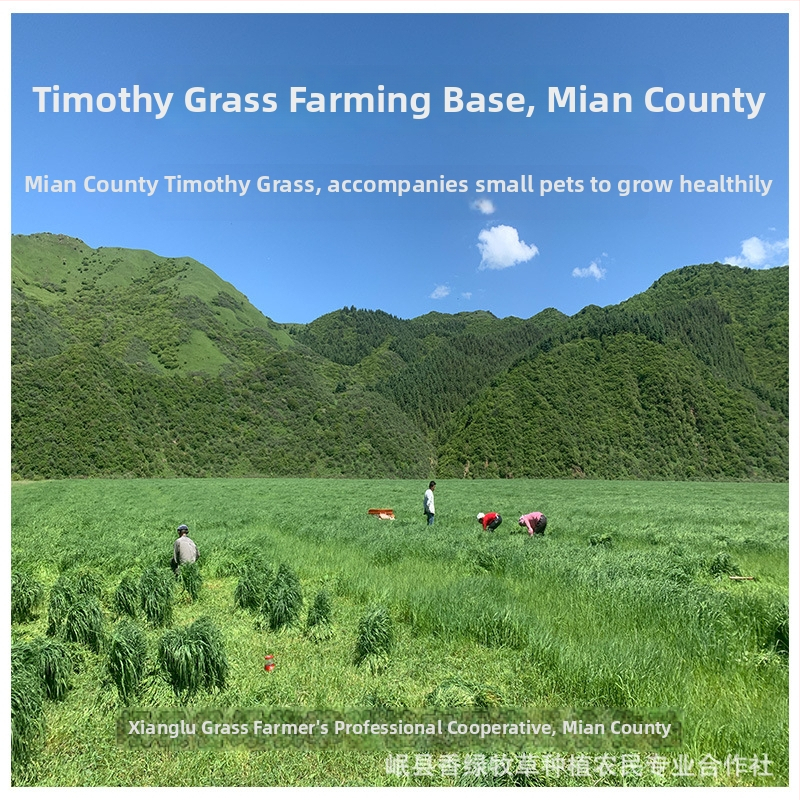 Beiti sausa ėdalas jaunoms naminiams gyvūnams, 1 pakuotė, naminiams gyvūnams