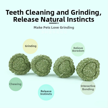 Carrot Valley Timothy Grass kuiva toit jänestele, činčilile, hamstritele ja merisigadele — umbes 15 g