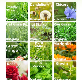 Yee triušių šienas — 12 rūšių: timotijų žolė, liucerna, avižos, mėtos, cikorijos žolė; džiovintas pašaras naminiams gyvūnams, 500 g, 1 pakuotė