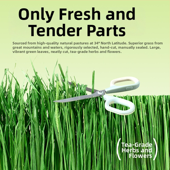 Yee triušių šienas — 12 rūšių: timotijų žolė, liucerna, avižos, mėtos, cikorijos žolė; džiovintas pašaras naminiams gyvūnams, 500 g, 1 pakuotė