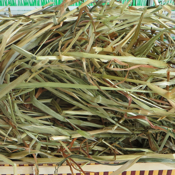Džiovinta maisto prekė mažiems gyvūnams: Minxian oatgrass, 500 g, Ziplock pakuotė, prekinis ženklas Homecoming