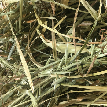 Džiovinta maisto prekė mažiems gyvūnams: Minxian oatgrass, 500 g, Ziplock pakuotė, prekinis ženklas Homecoming
