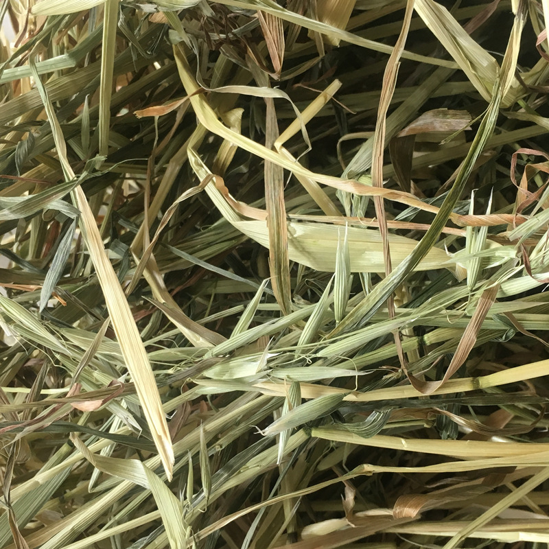 Džiovinta maisto prekė mažiems gyvūnams: Minxian oatgrass, 500 g, Ziplock pakuotė, prekinis ženklas Homecoming