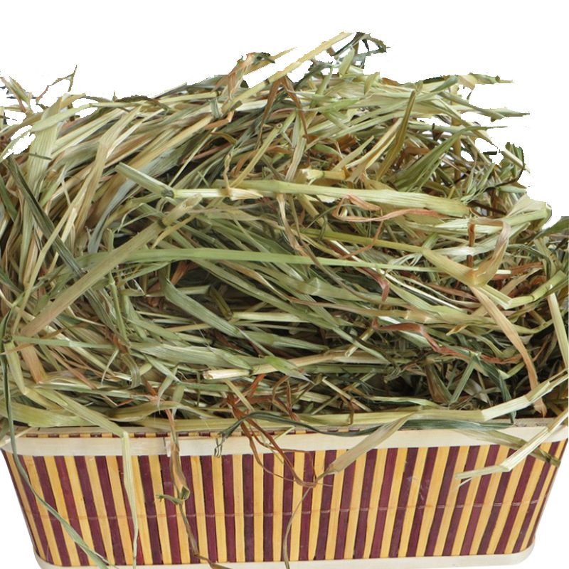 Džiovinta maisto prekė mažiems gyvūnams: Minxian oatgrass, 500 g, Ziplock pakuotė, prekinis ženklas Homecoming