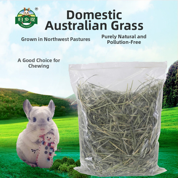 Homecoming Džiovinta sausa dieta triušiams ir činčiloms – kviečių žolė, 500 g, Ziplock pakuotė, džiovinta