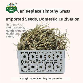 Homecoming Džiovinta sausa dieta triušiams ir činčiloms – kviečių žolė, 500 g, Ziplock pakuotė, džiovinta