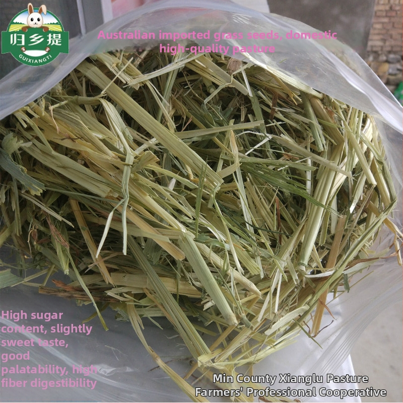 Homecoming Sausa barība trušiem un činčillām – kviešu zāle, 500 g, Ziplock somiņa, kaltēta