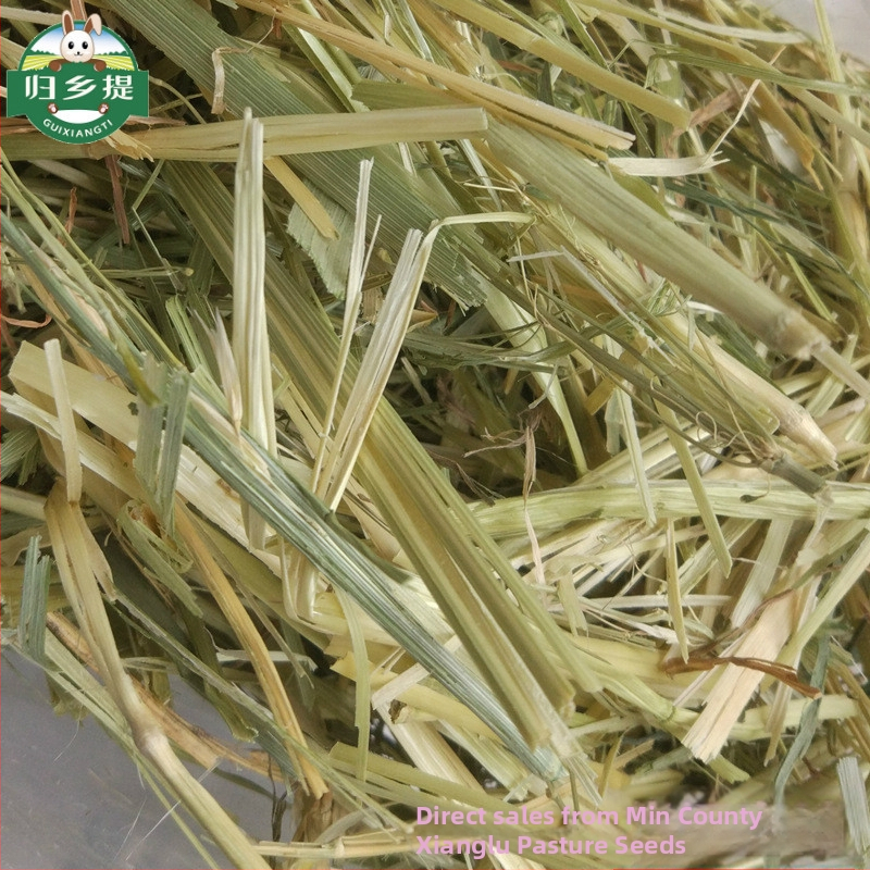 Homecoming Sausa barība trušiem un činčillām – kviešu zāle, 500 g, Ziplock somiņa, kaltēta