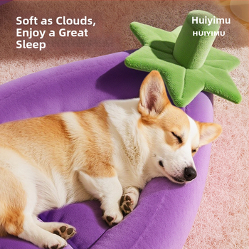 Koera pesa kristallse sametiga mäluvahtuga, eemaldatav ja pestav